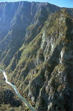 Черногория. Каньон реки Тара